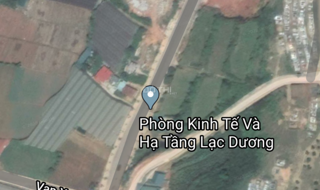 Chính chủ cần bán gấp đất nền diện tích lớn mặt tiền đường Bi-Doup, Lạc Dương, Lâm Đồng