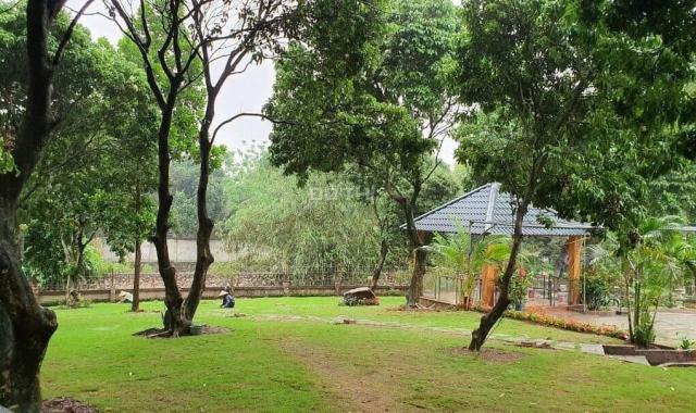 Cần chuyển nhượng nhà kết hợp khu du lịch sinh thái kết hợp làm homestay lại Lương Sơn Hòa Bình