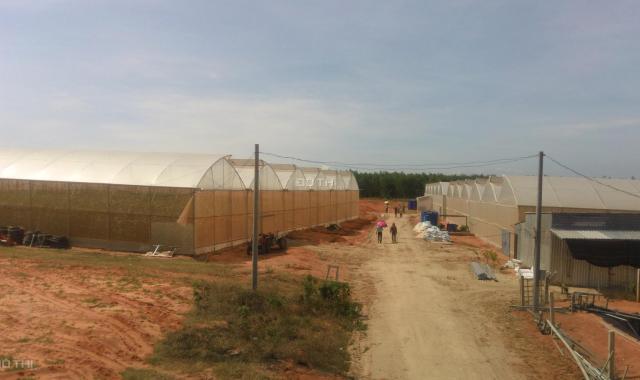 Bán đất trồng trọt canh tác có sổ đỏ riêng tại Bình Thuận