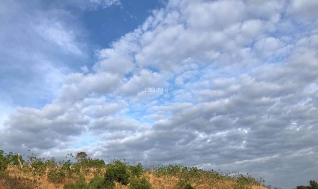 Bán đất vườn MT xã Đắk Hà, huyện Đắk Nông, tỉnh Đắk Nông. DT: 5 ha, giá 3 tỷ 6