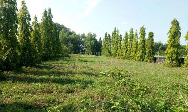 Cần bán lô đất mặt tiền đường 89 (Cây Da), DT 3846m2 thuộc xã Tân Phú Trung, huyện Củ Chi, HCM