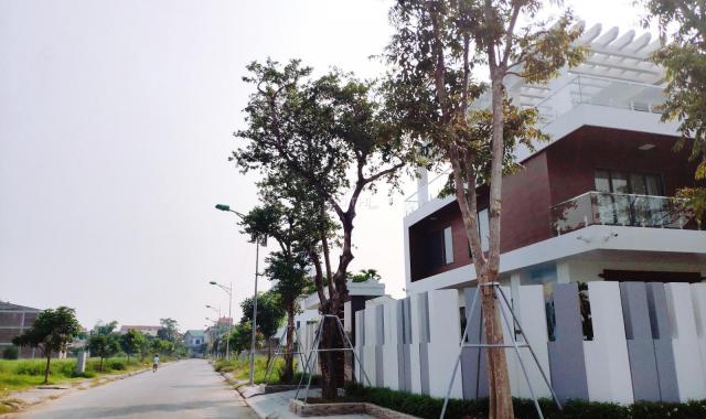 Bán đất nền dự án tại dự án khu đô thị Nam Lê Lợi, Vinh, Nghệ An, diện tích 466m2