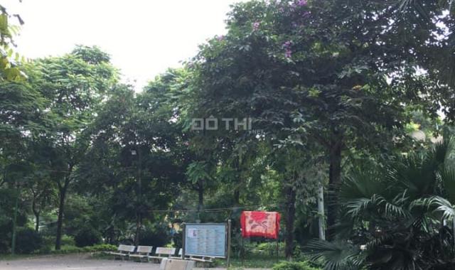 Bán đất mặt công viên ngõ 75 Trần Quang Diệu, Đống Đa 17,5 tỷ