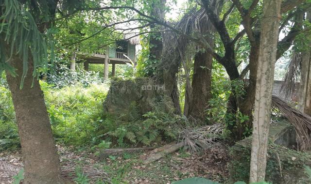 Bán 1700m2 đất nghỉ dưỡng sẵn khuôn viên tại Phú Mãn - Quốc Oai. Giá đầu tư (lh: 0983 100 636)