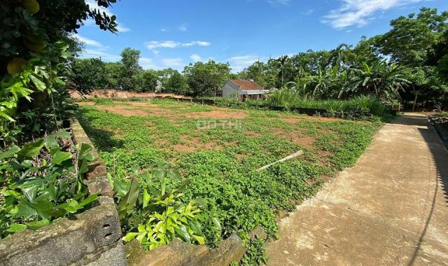 Bán lô đất phù hợp làm nhà vườn tại thôn 3 Phú Cát dt 540m2, đất ở 200m2 với giá 3.x tr/m2