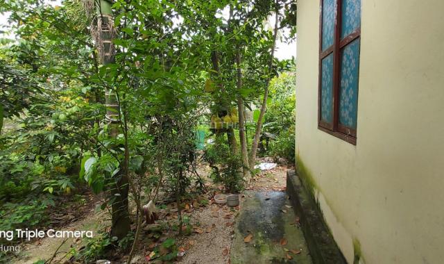Chính chủ bán 1000m2 nhà vườn hoàn thiện Lương Sơn