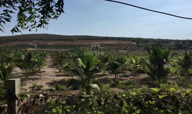Bán lô đất nông nghiệp Bình Thuận 1,5ha sổ riêng khu rẫy động chỉ 911tr, LH 0938677909
