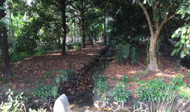 Bán đất nền phường An Thạnh gần quán ăn vườn xưa đường rải đá 4m chuẩn bị đổ bê tông trên đất có