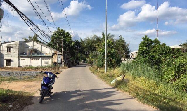 Đường 6m Vườn Thơm, xã Bình Lợi 1000m2, sổ hồng mới 2019, gần Trần Văn Giàu
