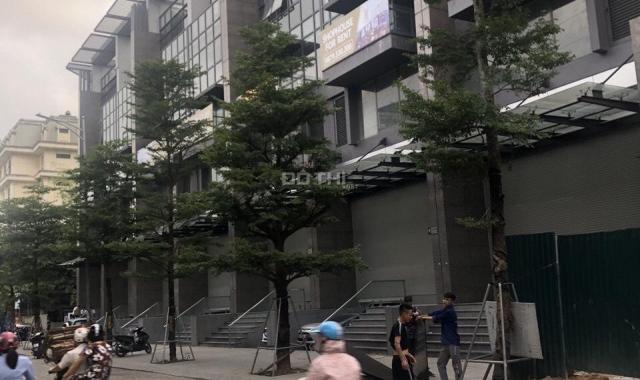 Nhà phố Hào Nam mặt 315 triệu/m2, mặt tiền 7m, vỉa hè 6m