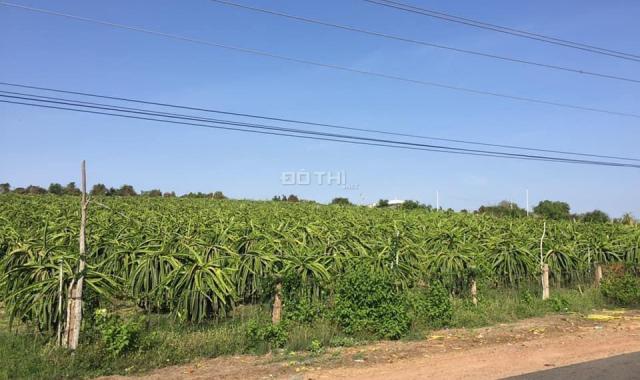 Chính chủ bán đất nông nghiệp Bình Thuận chỉ 70k/m2/th, sổ riêng sang tên ngay, Lh 0938677909