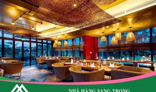 Dự án chung cư nhà ở trong năm Rose Town 79 Ngọc Hồi!