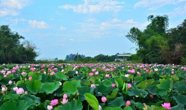 Lô đất đẹp hồ sen Điện Tiến City - Giáp Hòa Tiến, TP. Đà Nẵng