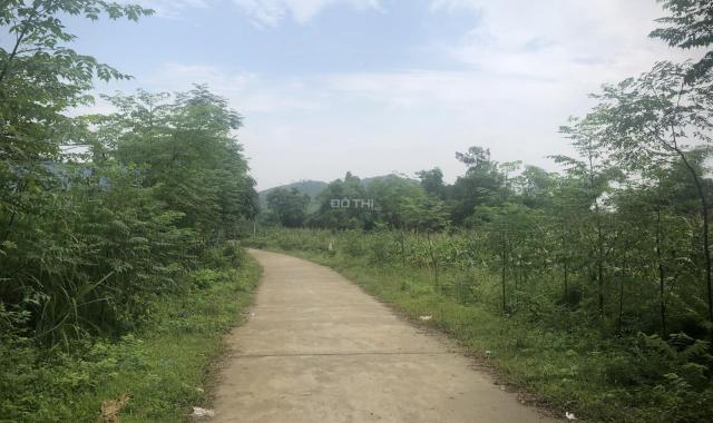 Bán gấp 2887m2 đất thổ cư giá rẻ tại Lương Sơn, Hòa Bình