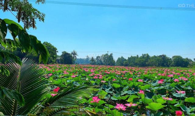 Đất giá rẻ tại ven Đà Nẵng - Quang Nam chỉ từ 150 triệu để có cơ hội sở hữu, hỗ trợ vay 50%