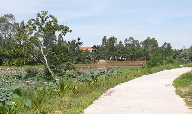 Đất khai thác du lịch hồ sen, giá đầu tư Điện Tiến, Quảng Nam giá chỉ 400 triệu