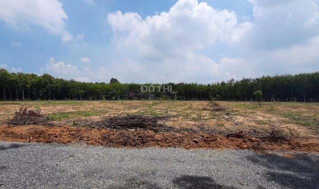 Chính chủ bán đất gần sân bay Long Thành 1,3 sào CLN + ONT sổ riêng cạnh KCN xã Phước Bình giá rẻ