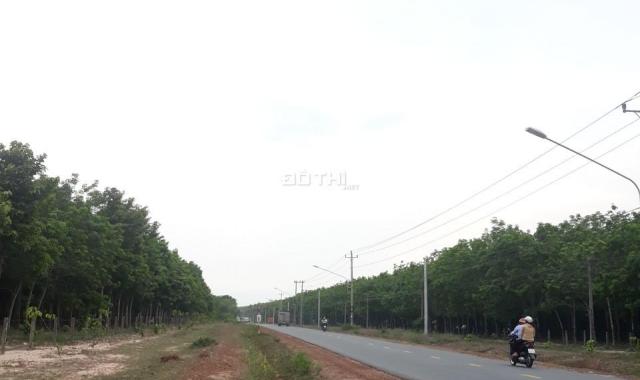 Bán đất gần trường tiểu học Định An Dầu Tiếng giá rẻ, DT: 10x86(nở hậu 15m) = 1000m2