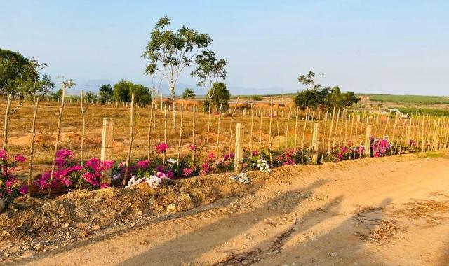 Đất vườn tại Bình Thuận, giá chỉ từ 50 nghìn/m2, đã có sổ ngay 100% đất sạch, sát bên Quốc Lộ 1A