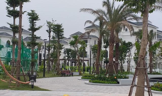 Bán đất 15x18m = 270m2 mặt đường 30m vị trí đẹp đường lê Hồng Phong giá đầu tư, LH 0973.246.448