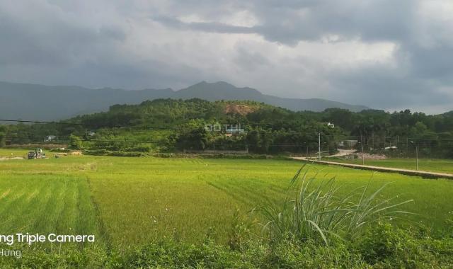 Bán gấp 1500m2 đất thổ cư Lương Sơn, có ao, tường bao giá hợp lý