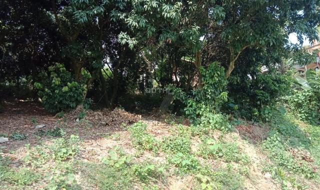 Bán đất thổ cư vuông vắn có ao tại Lương Sơn, Hòa Bình diện tích 2.400m2