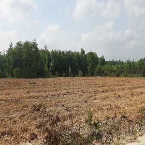Cần bán gấp 7 lô đất hơn 300m2 tại thị xã Tân Uyên giá 3,2tr/m2