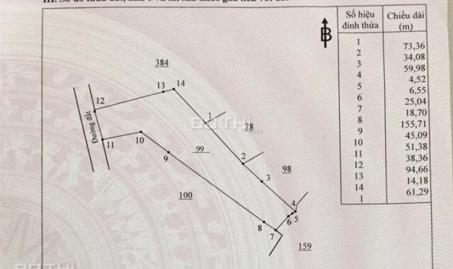 Cần bán 1.5 hecta đất trồng cây lâu năm mặt tiền rộng 38m, đường 10m tại xã Phú Lý