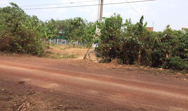 Cần bán 1.5 hecta đất trồng cây lâu năm mặt tiền rộng 38m, đường 10m tại xã Phú Lý