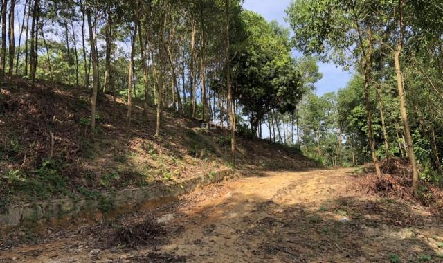 Bán đất nghỉ dưỡng rẻ đẹp tại Lương Sơn, Hoà Bình diện tích 5697m2