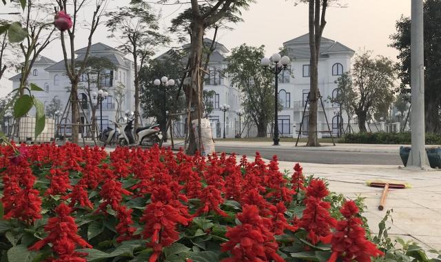 Biệt thự đơn lập Vinhomes Green Villas 4 tầng 288m2 đóng 35% nhận nhà, CK đến 6%, tặng 2 cây vàng