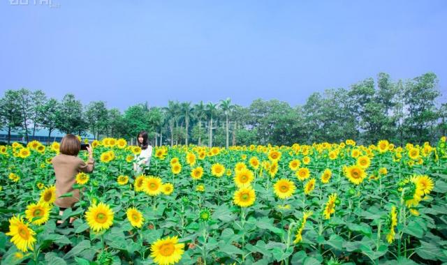 Chính chủ bán lô góc đường 22m biệt thự The Phoenix Garden, view công viên cây xanh, LH 0972.055.39