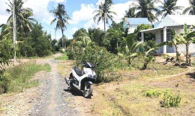 Chị tôi bán mảnh đất vườn giáp với 2 mặt sông lớn, có cây ăn Trái Xoài, Dừa Xiêm, Thăng Long