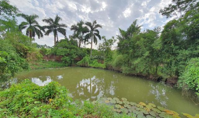 Bán đất làm homestay, nhà vườn tuyệt đẹp tại Lương Sơn, Hòa Bình diện tích 9575m2