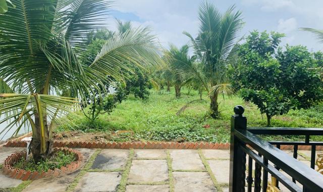 Cần bán nhà vườn hơn 3.000m2 đã hoàn thiện có 100 cây bưởi và 100 cây dừa mang giá trị kinh tế cao