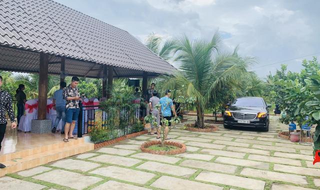 Bán nghỉ dưỡng, nhà vườn khuôn viên hoàn thiện có 100 cây bưởi và 100 cây dừa mang giá trị cao
