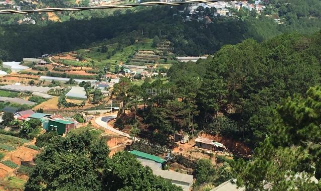Bán đất nền thành phố Đà Lạt (Giá thương lượng)