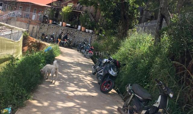 Bán đất nền thành phố Đà Lạt (Giá thương lượng)