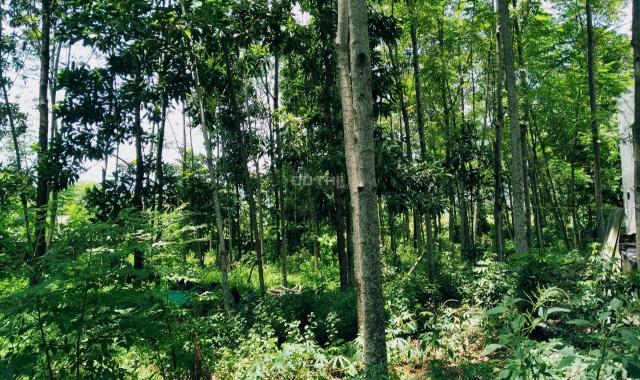 Bán đất giáp siêu đô thị nghỉ dưỡng Eco Valley Resort tại Lương Sơn, Hòa Bình diện tích 1280m2