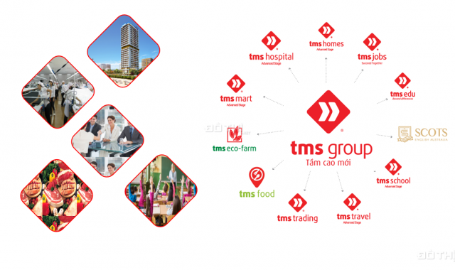 TMS Vĩnh Yên - Chỉ 15 triệu/m2 sở hữu ngay lô liền kề, bàn giao sau 12 tháng, sổ đỏ vĩnh viễn