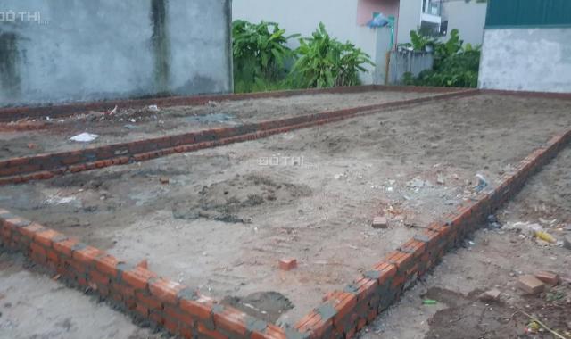 Bán 59m2, 81m2 đất đấu giá Ao Phe, Cao Xá, Đức Thượng, trục đường liên xã