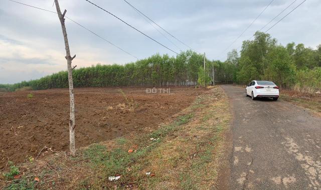 Bán đất xây nhà trọ cạnh sân bay Long Thành, 1000m2, sổ riêng, giá 900tr