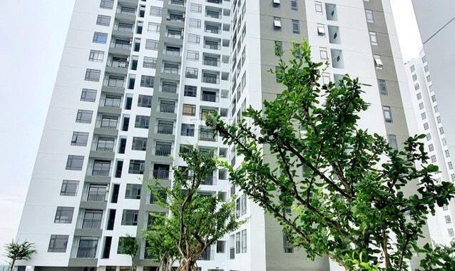 Chính chủ cho thuê căn hộ mới nội thất căn bản Central Premium Q8, DT 87m2, 3PN