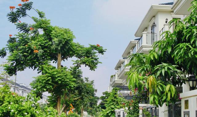 Đăng tin thật, giá thật nhà phố Lakeview City 1 trệt 3 lầu, 4PN, 5WC, sân vườn, khu vực để xe