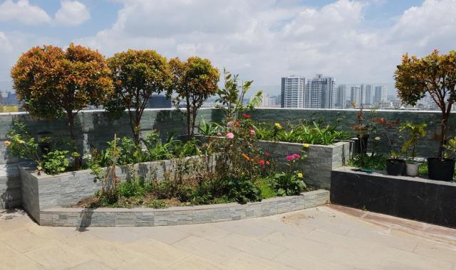 Bán penthouse khu vip Riverpark Phú Mỹ Hưng
