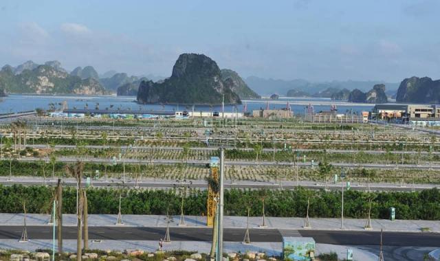 Cơ hội đầu tư đất nền mặt biển siêu lợi nhuận Vân Đồn, Quảng Ninh