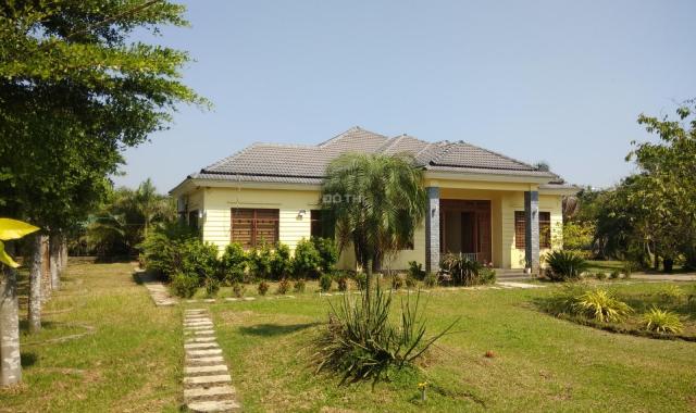 Bán gấp biệt thự vườn Đại Phước, Nhơn Trạch Đồng Nai 7136m2 với giá cực sốc chỉ 9.9 triệu/m2