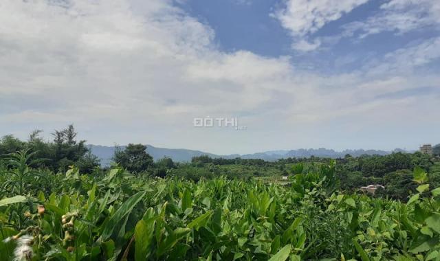 1,4 ha đất thổ cư và đất vườn. Thế đất cao thoải nhẹ đẹp view thoáng Hoà Sơn, Lương sơn, Hoà Bình