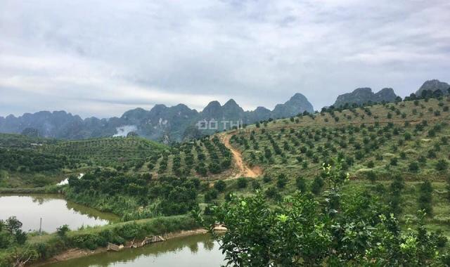 Bán đất có trang trại, rừng sản xuất, có đầy đủ điện nước, DT 21ha, Lương Sơn, Hòa Bình. 15 tỷ