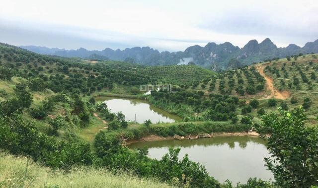 Bán đất có trang trại, rừng sản xuất, có đầy đủ điện nước, DT 21ha, Lương Sơn, Hòa Bình. 15 tỷ